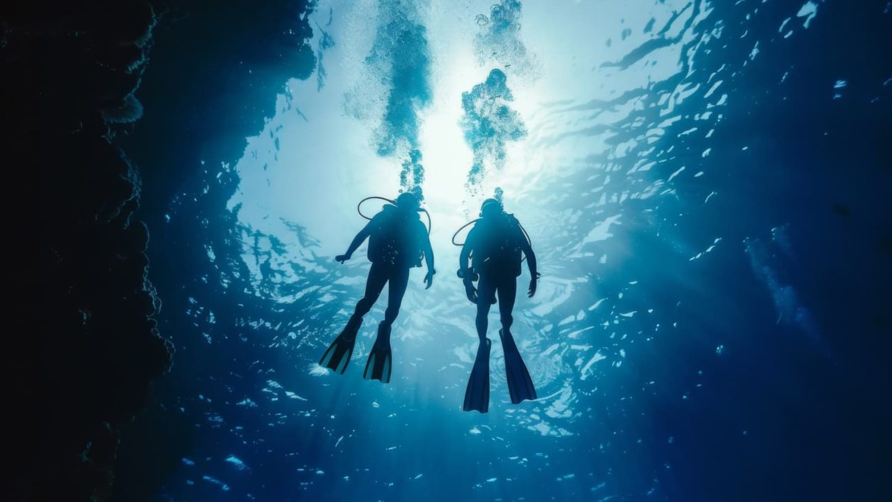 Buceo en Tenerife El universo submarino de la isla descubierto por profesionales