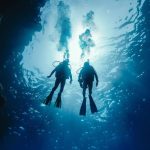 Buceo en Tenerife El universo submarino de la isla descubierto por profesionales