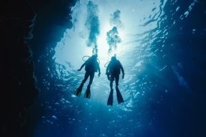 Buceo en Tenerife El universo submarino de la isla descubierto por profesionales